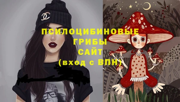 тгк Аркадак