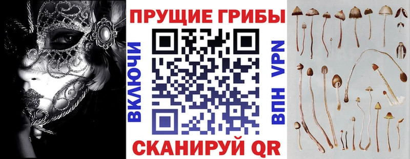 Купить  Злынка  Галлюциногенные грибы GOLDEN TEACHER 